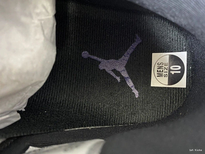 Air WMNS “Concord” Low AH7860-100  11 Jordan 0403